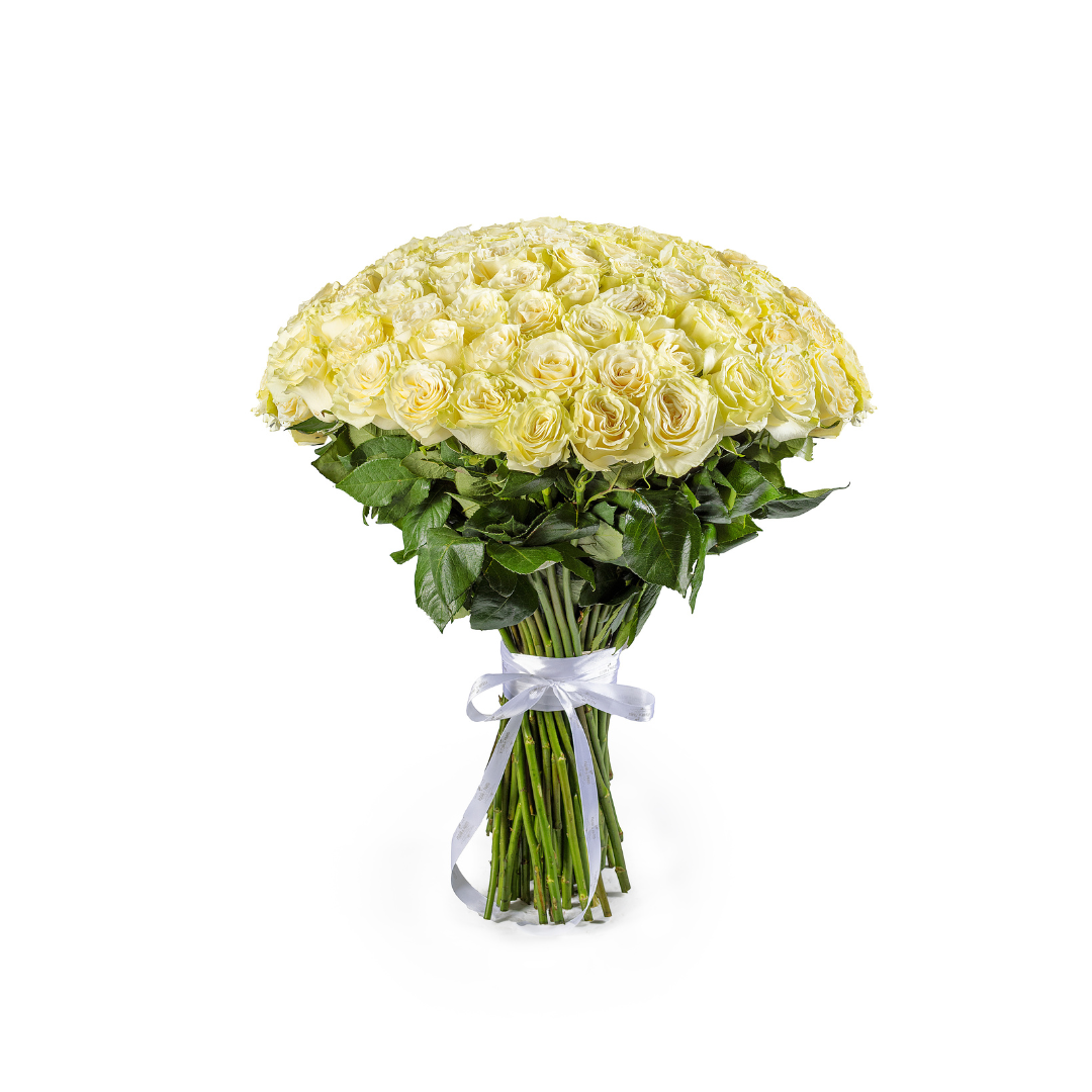 Bouquet 100 Rosas Brancas