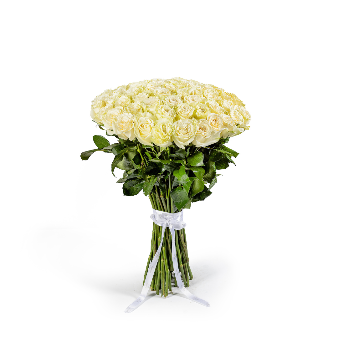 Bouquet 50 Rosas Brancas