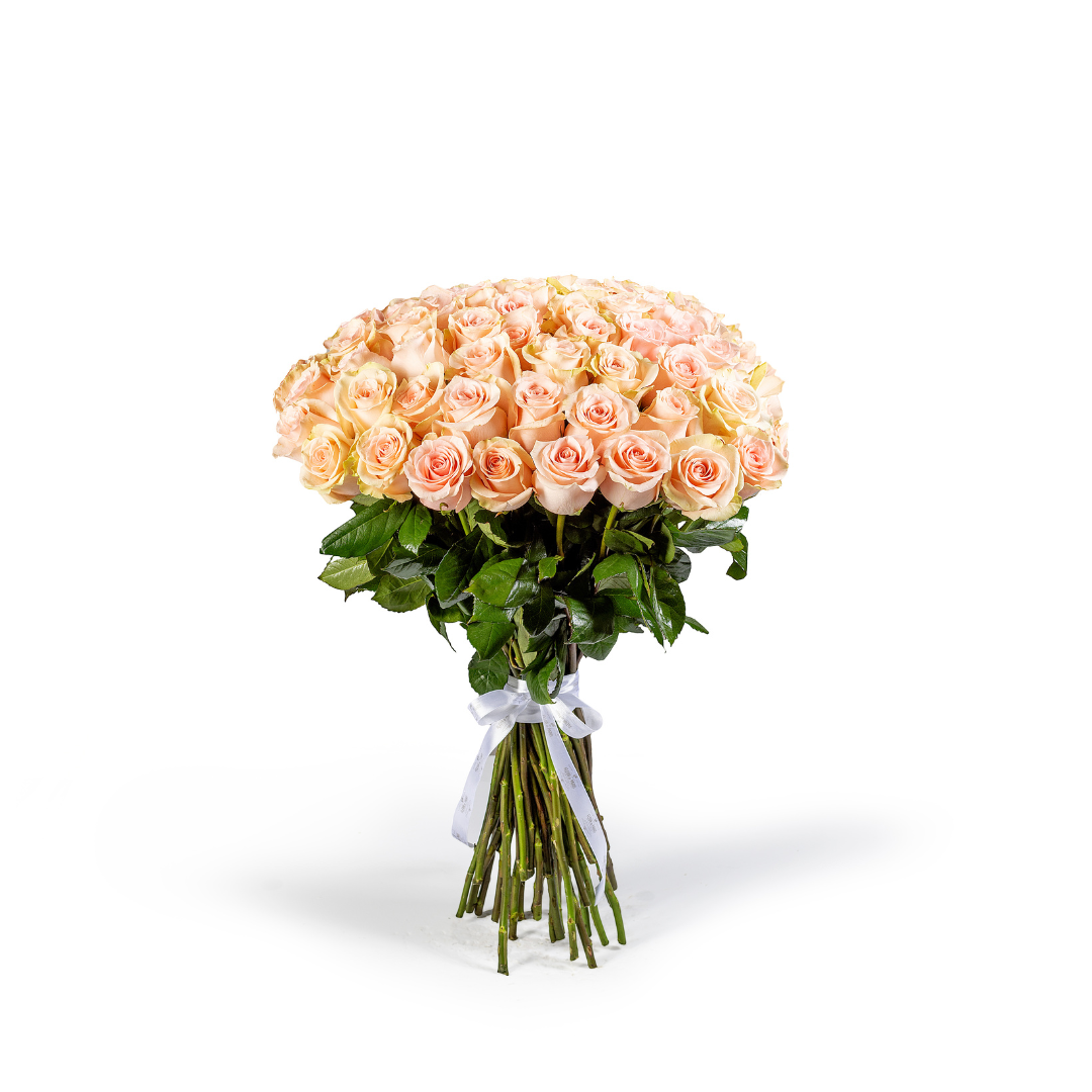 Bouquet 50 Rosas Cor-de-rosa