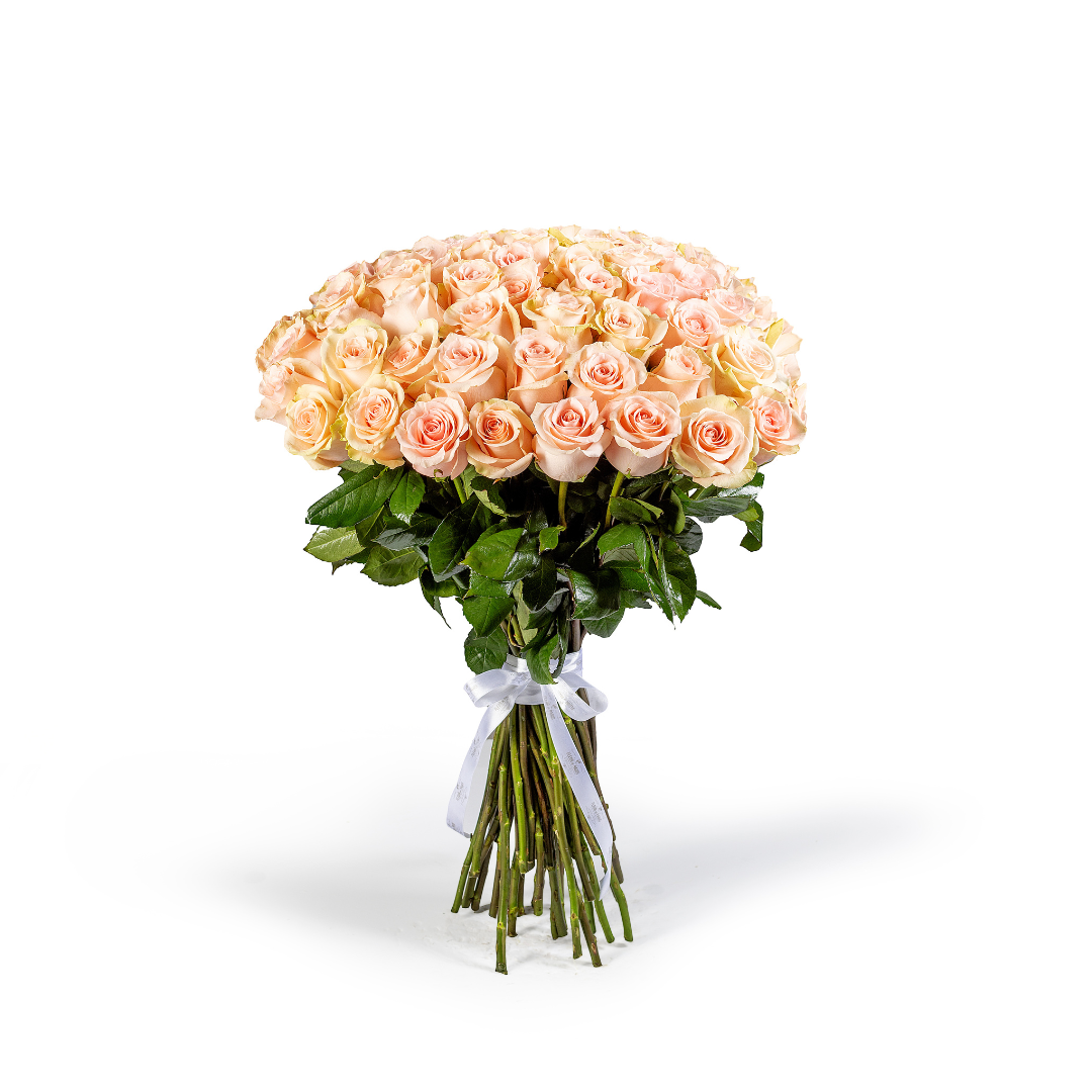 Bouquet 100 Rosas Cor-de-rosa
