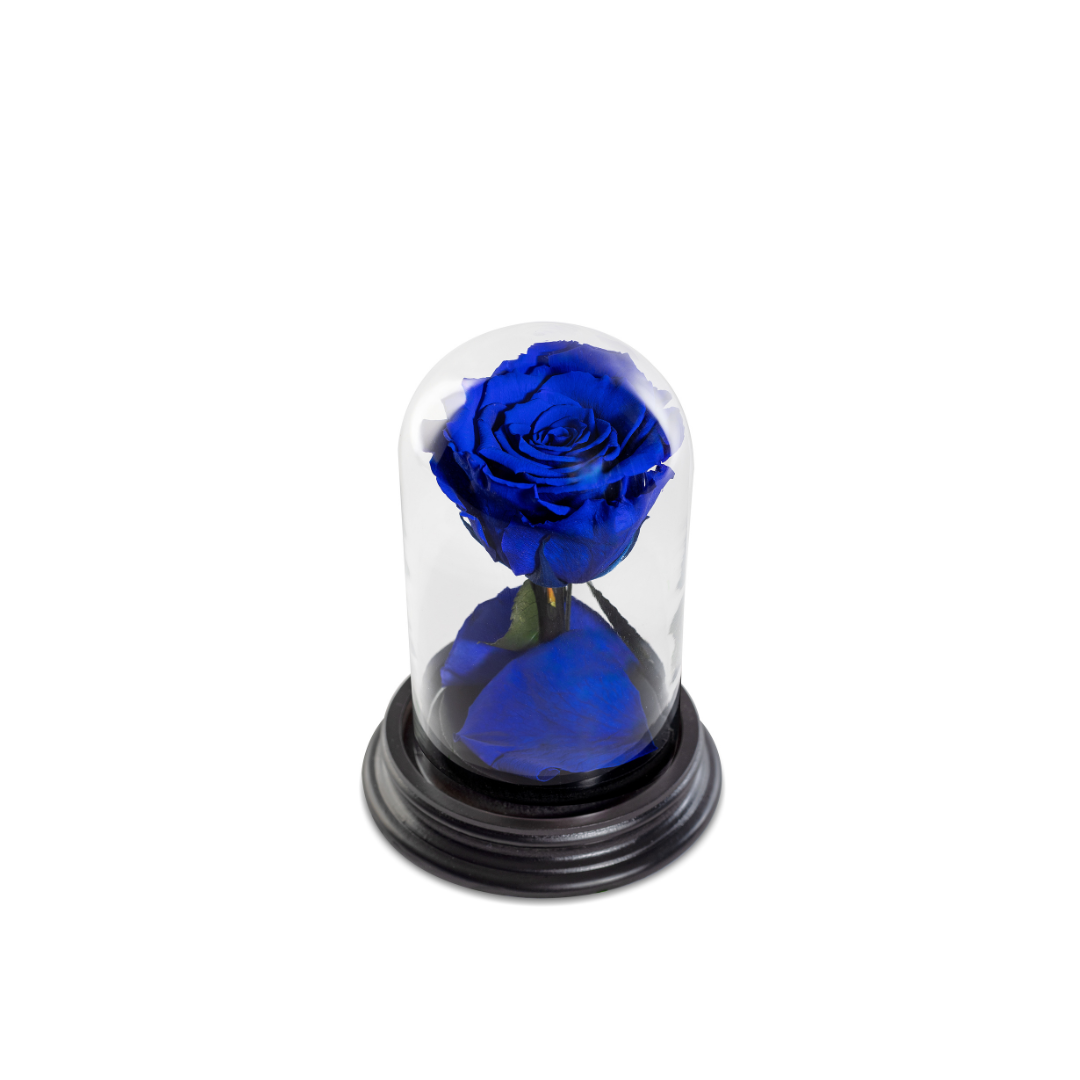 The Bella Rose | Tamanho Mini