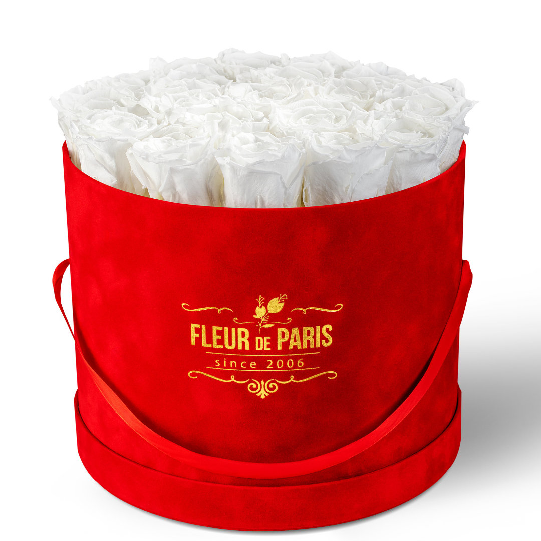 Caixa Premium de Veludo Vermelha | Rosas Infinity Brancas