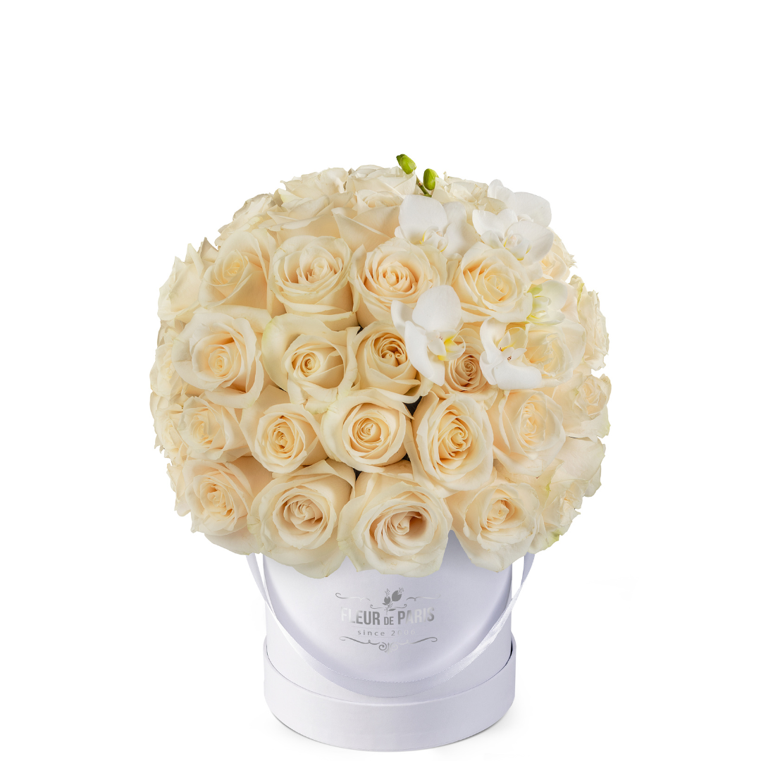 Caixa Premium Branca | 50 Rosas Creme