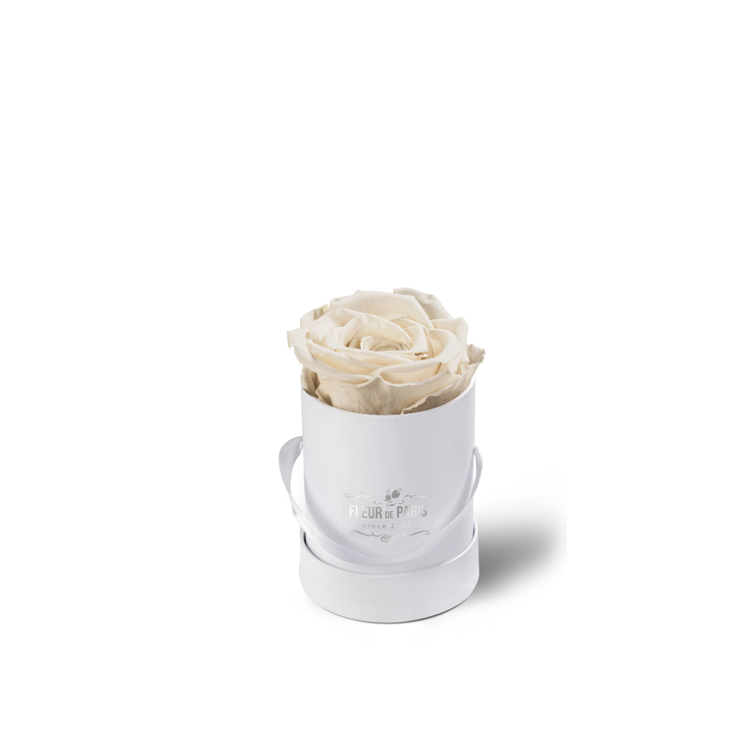 Caixa Premium Branca - Tamanho Mini - Rosas Infinity