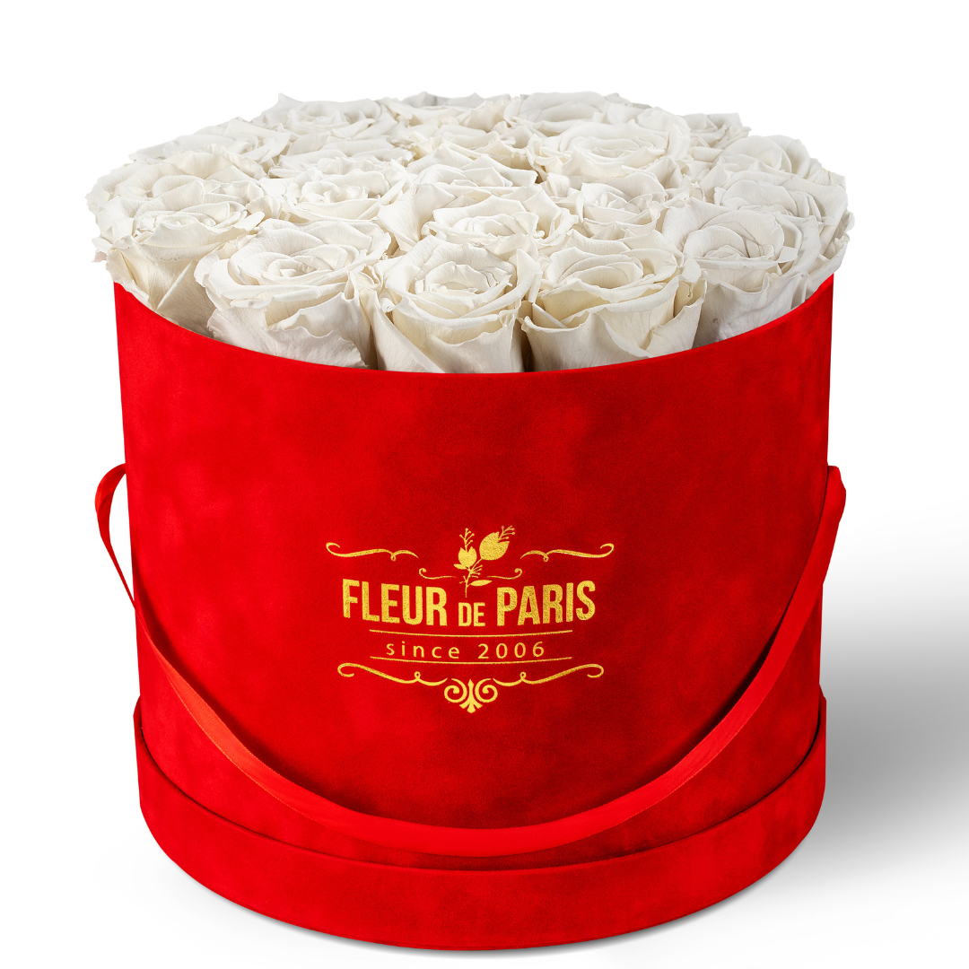 Caixa Premium de Veludo Vermelha | Rosas Infinity Creme