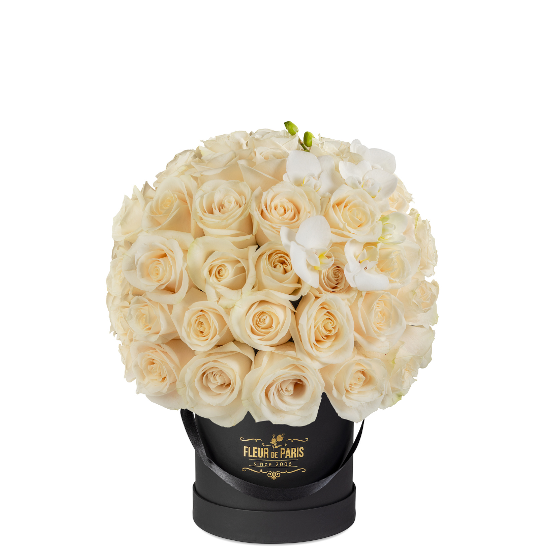 Caixa Premium Preta | 50 Rosas Creme