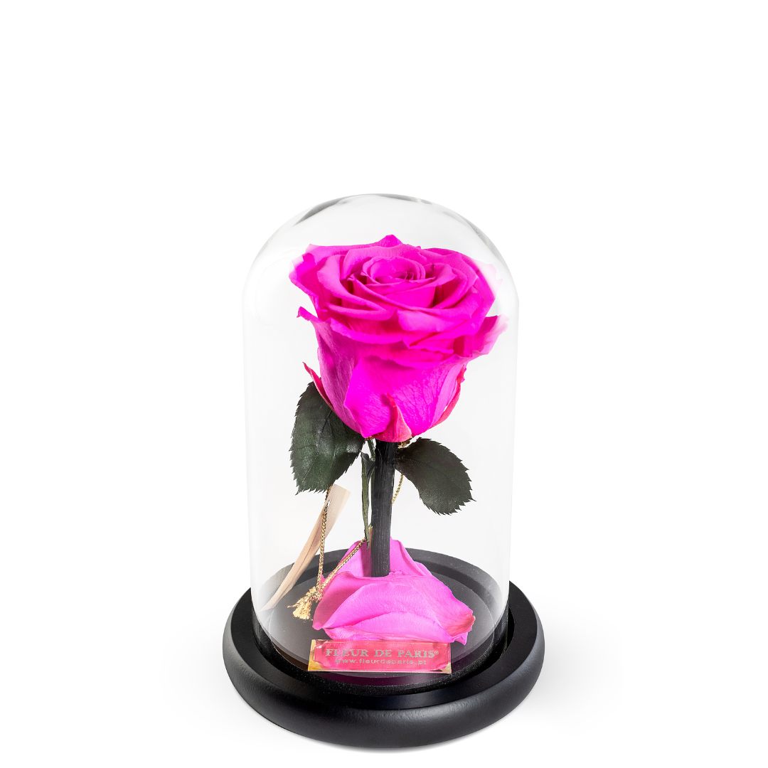 The Bella Rose | Tamanho Standard