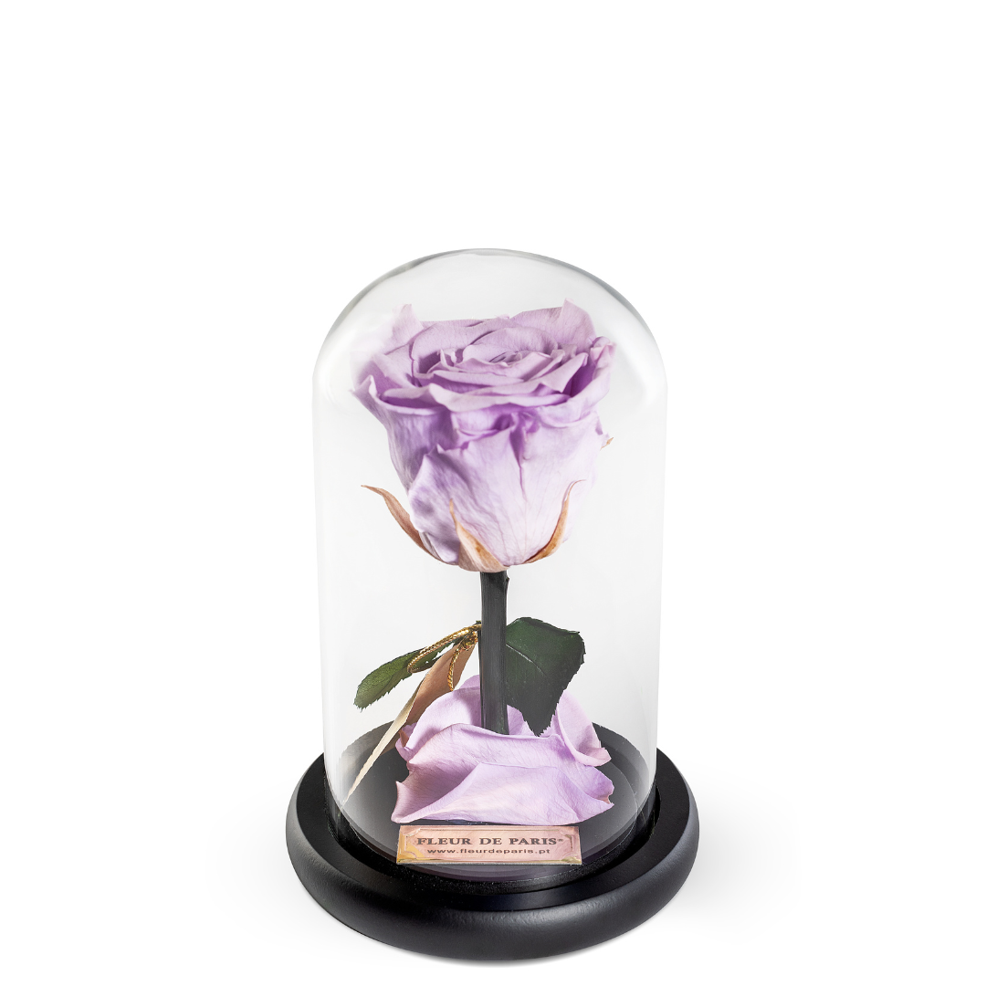 The Bella Rose | Tamanho Standard