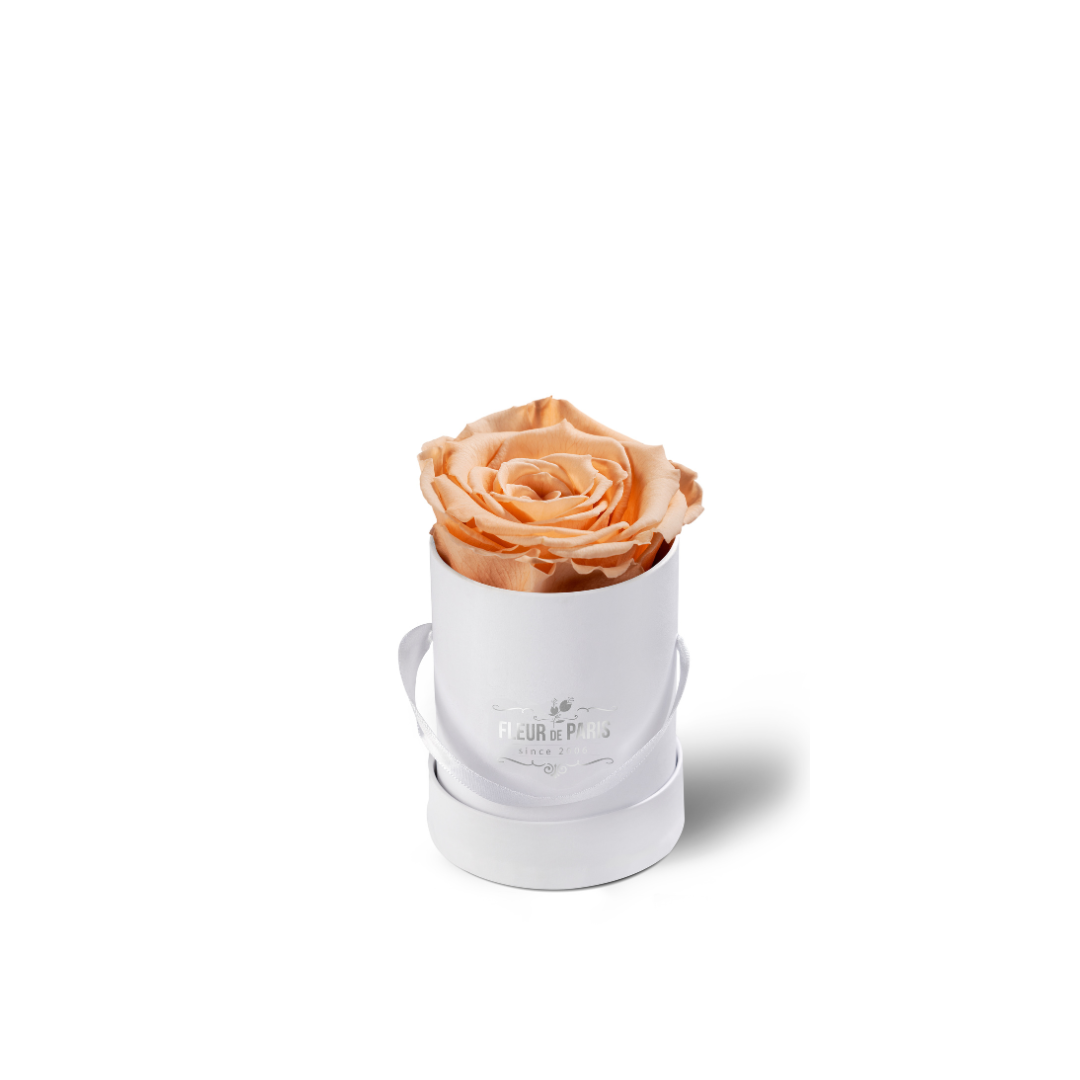 Caixa Premium Branca - Tamanho Mini - Rosas Infinity