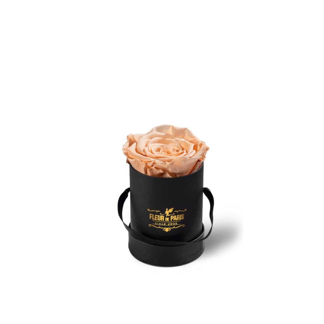 Caixa Premium Preta - Tamanho Mini - Rosas Infinity