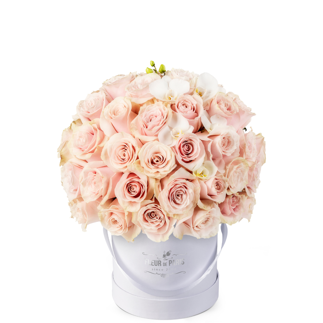 Caixa Premium Branca | 50 Rosas Cor-de-rosa
