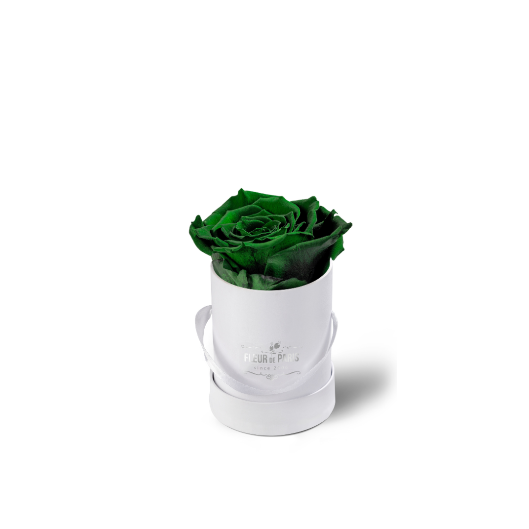 Caixa Premium Branca - Tamanho Mini - Rosas Infinity