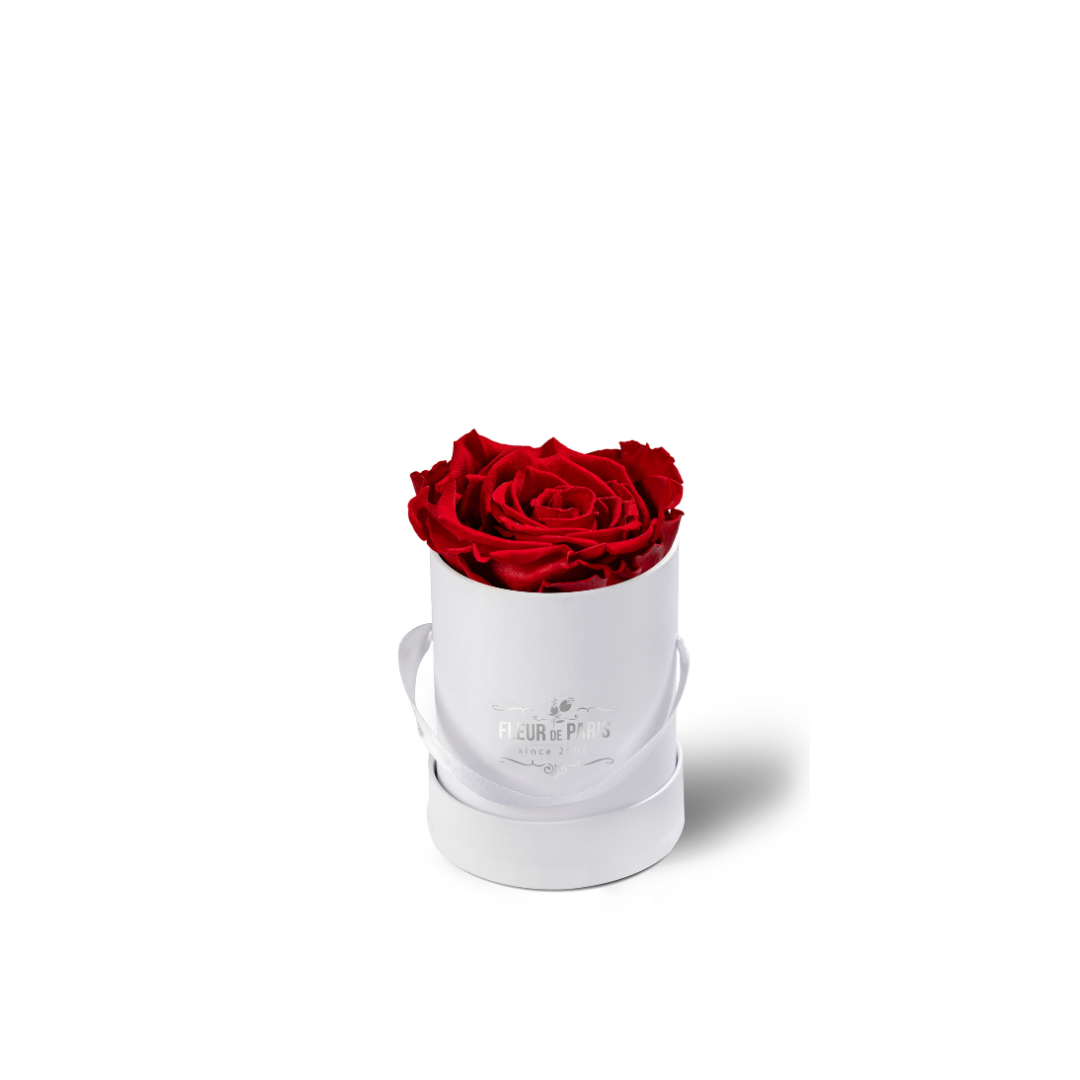 Caixa Premium Branca - Tamanho Mini - Infinity Roses - Rosa Vermelha