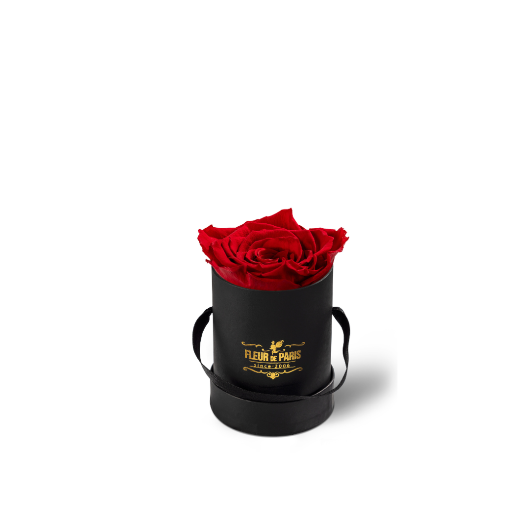 Caixa Premium Preta - Tamanho Mini - Infinity Roses - Rosa Vermelha