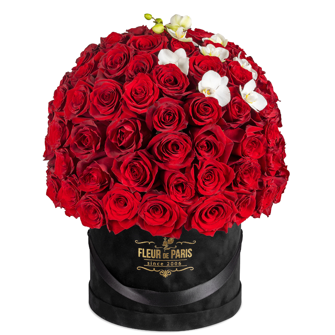 Caixa Premium Veludo Preta | 100 Rosas Vermelhas