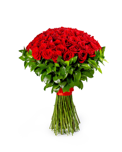 Bouquet Amor Majestoso – 100 Rosas Premium Equatorianas Vermelhas com Folhagem Elegante