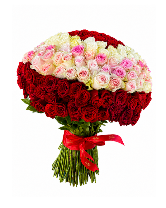 Bouquet Harmonia Imperial – 300 Rosas Premium Equatorianas Vermelhas, Cor-de-Rosa e Brancas
