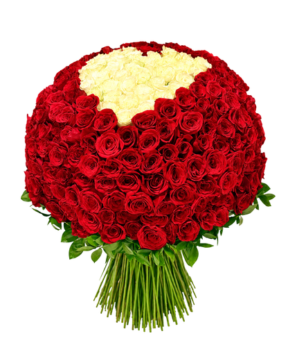Bouquet Desejo Majestoso – 320 Rosas Premium Equatorianas