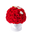 Fleur de Paris logo
