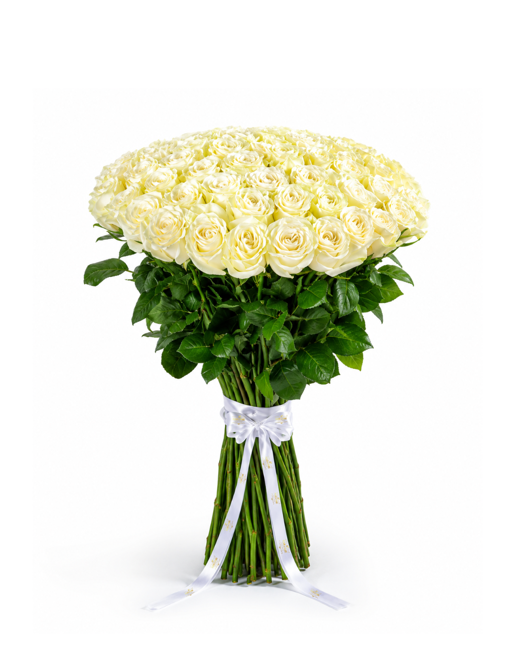 Bouquet Pureza – 50 Rosas Premium Equatorianas Brancas