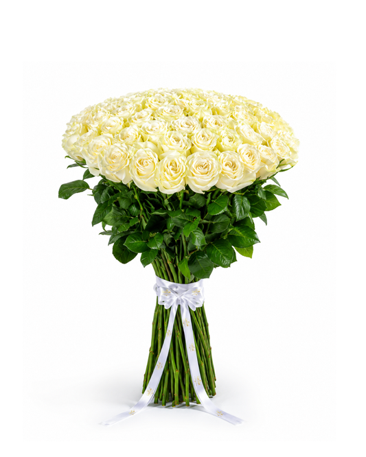 Bouquet Pureza – 50 Rosas Premium Equatorianas Brancas