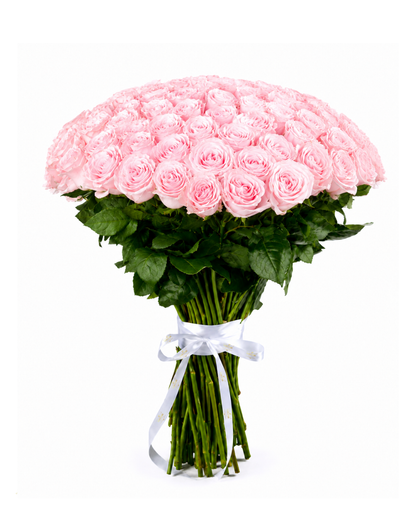 Bouquet Ternura Suprema – 100 Rosas Premium Equatorianas Cor-de-Rosa