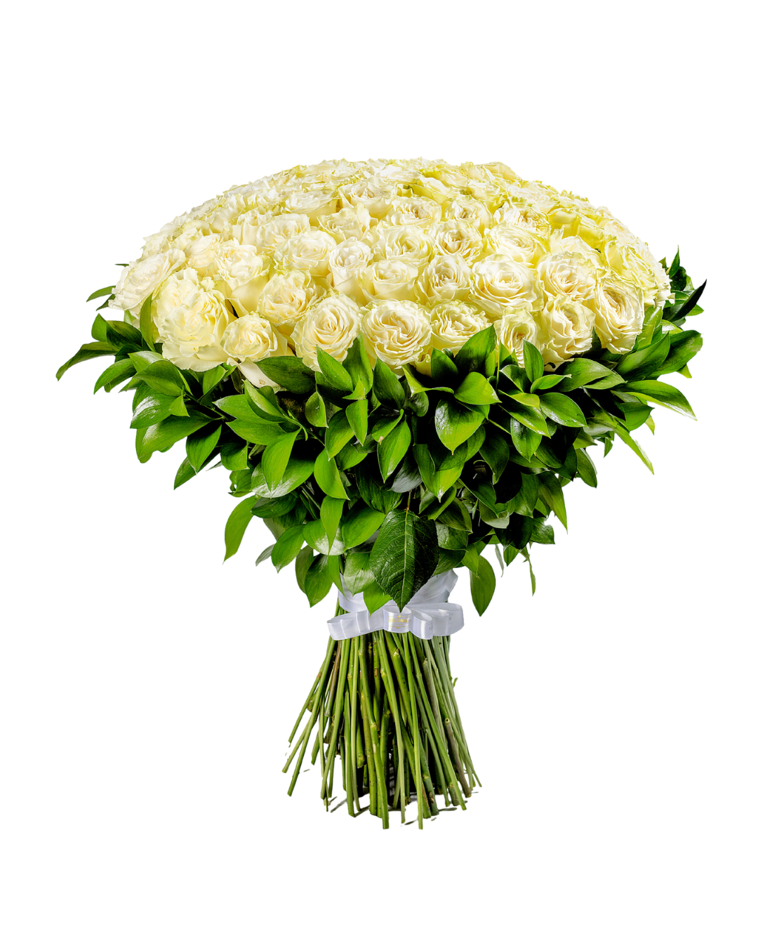 Bouquet Serenidade Majestosa – 100 Rosas Premium Equatorianas Brancas