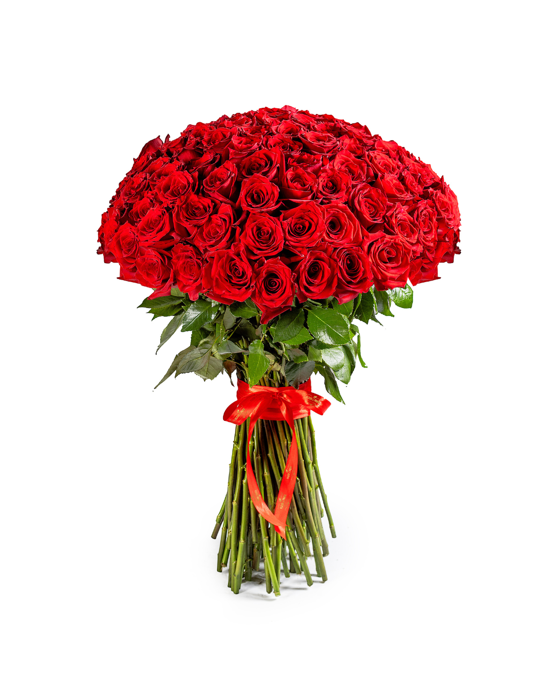 Bouquet Romance Supremo – 100 Rosas Premium Equatorianas Vermelhas