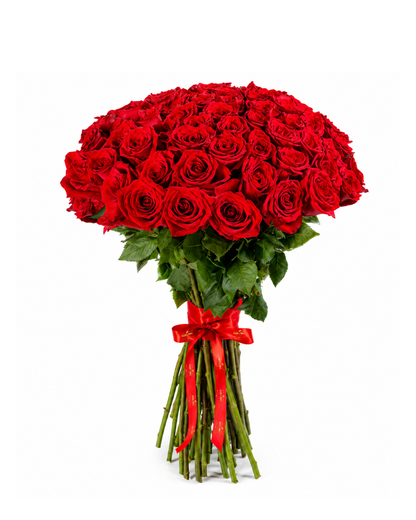 Bouquet Paixão – 50 Rosas Premium Equatorianas Vermelhas