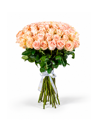 Bouquet Ternura | 50 Rosas Premium Equatorianas Cor-de-Rosa