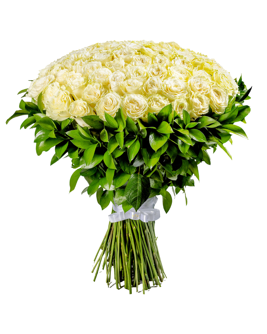 Bouquet Serenidade Majestosa – 100 Rosas Premium Equatorianas Brancas