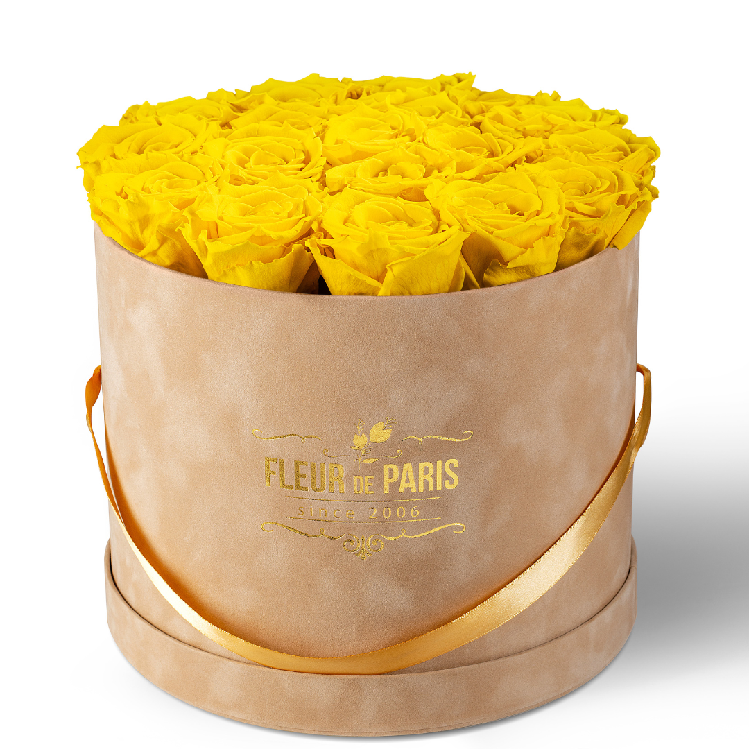 Premium Beige Velvet Box | Yellow Infinity Roses 