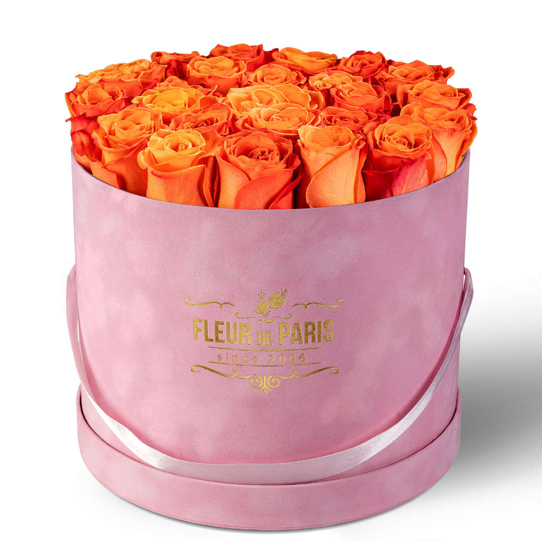 Caixa Premium de Veludo Rosa | Rosas Frescas Laranja