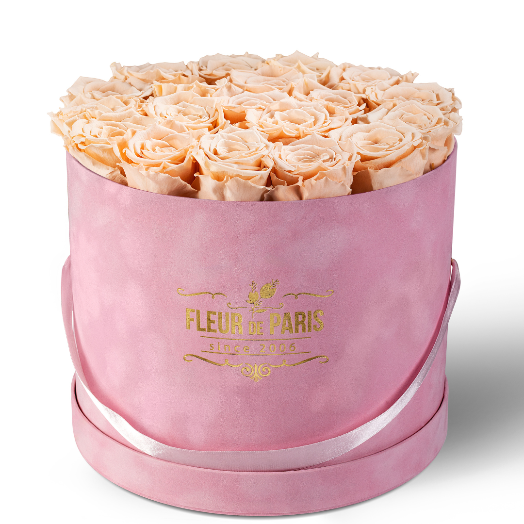 Premium Pink Velvet Box | Infinity Peach Roses