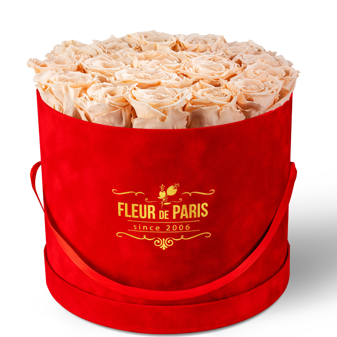 Premium Red Velvet Box | Infinity Peach Roses 