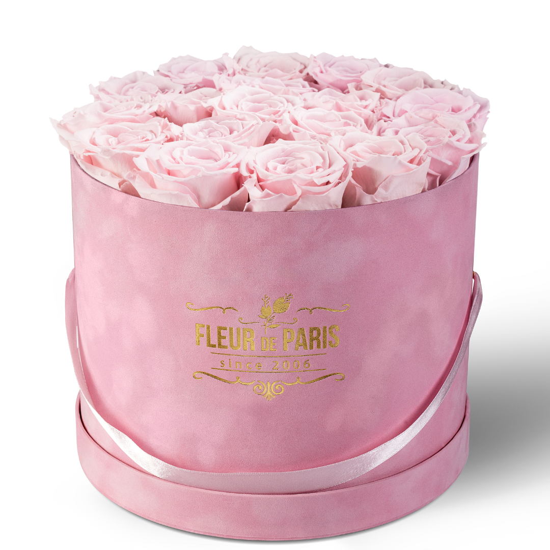 Premium Pink Velvet Box | Pink Infinity Roses