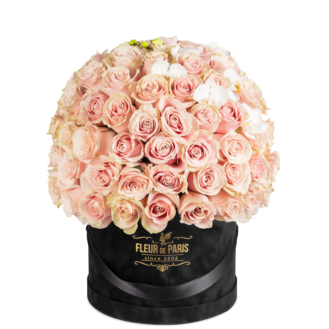 Caixa Premium Veludo Preta | 100 Rosas Cor-de-rosa