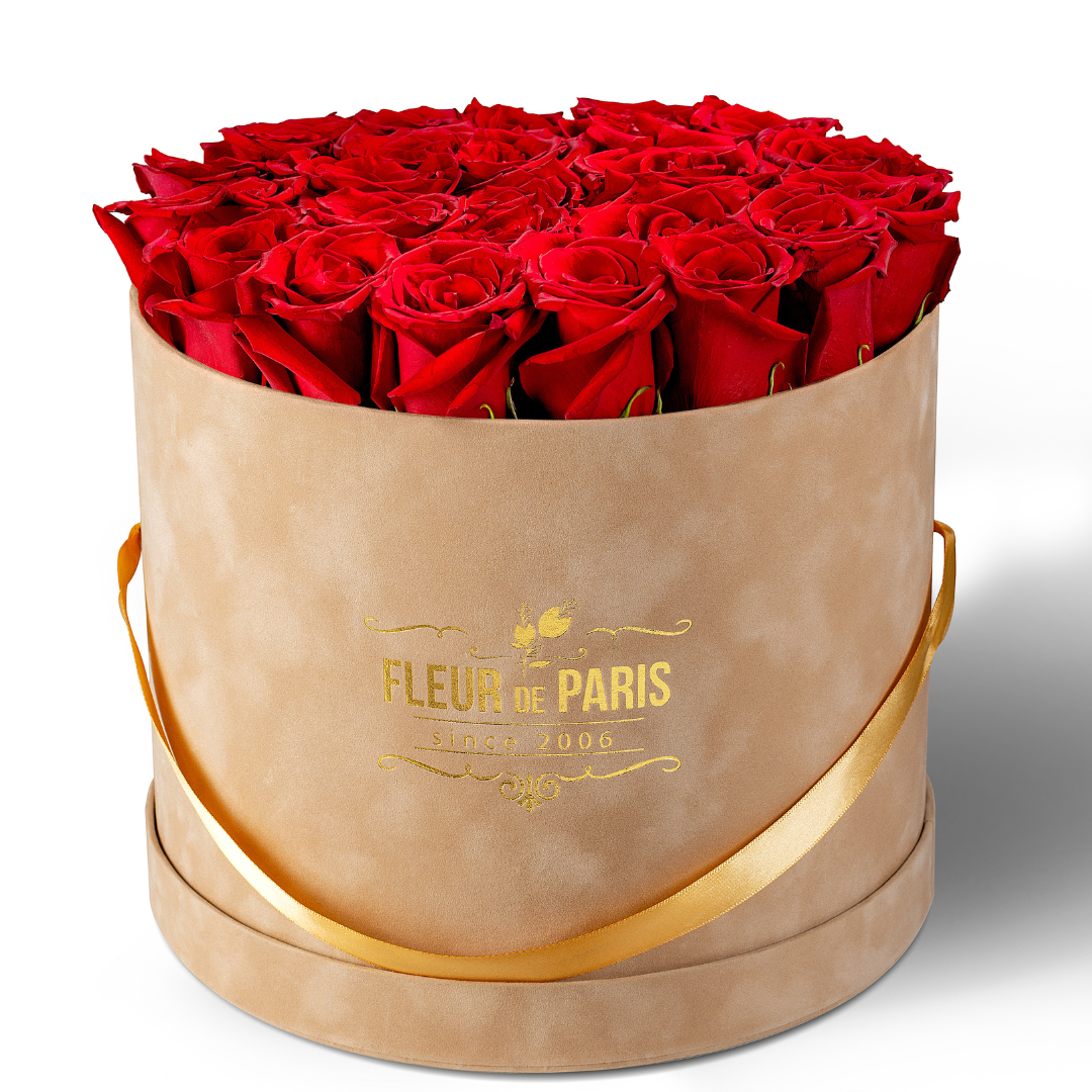 Premium Beige Velvet Box | Fresh Red Roses 