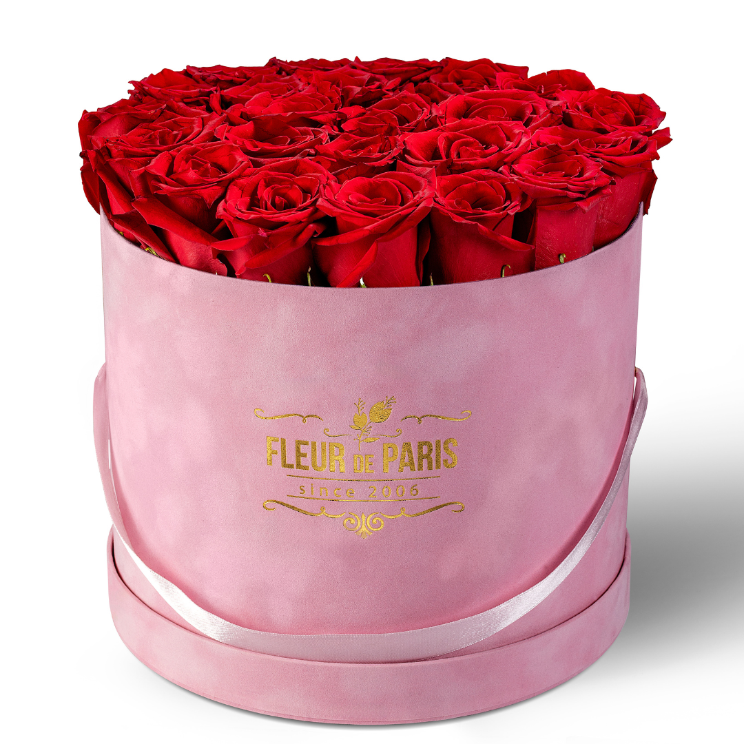 Caixa Premium de Veludo Rosa | Rosas Frescas Vermelhas