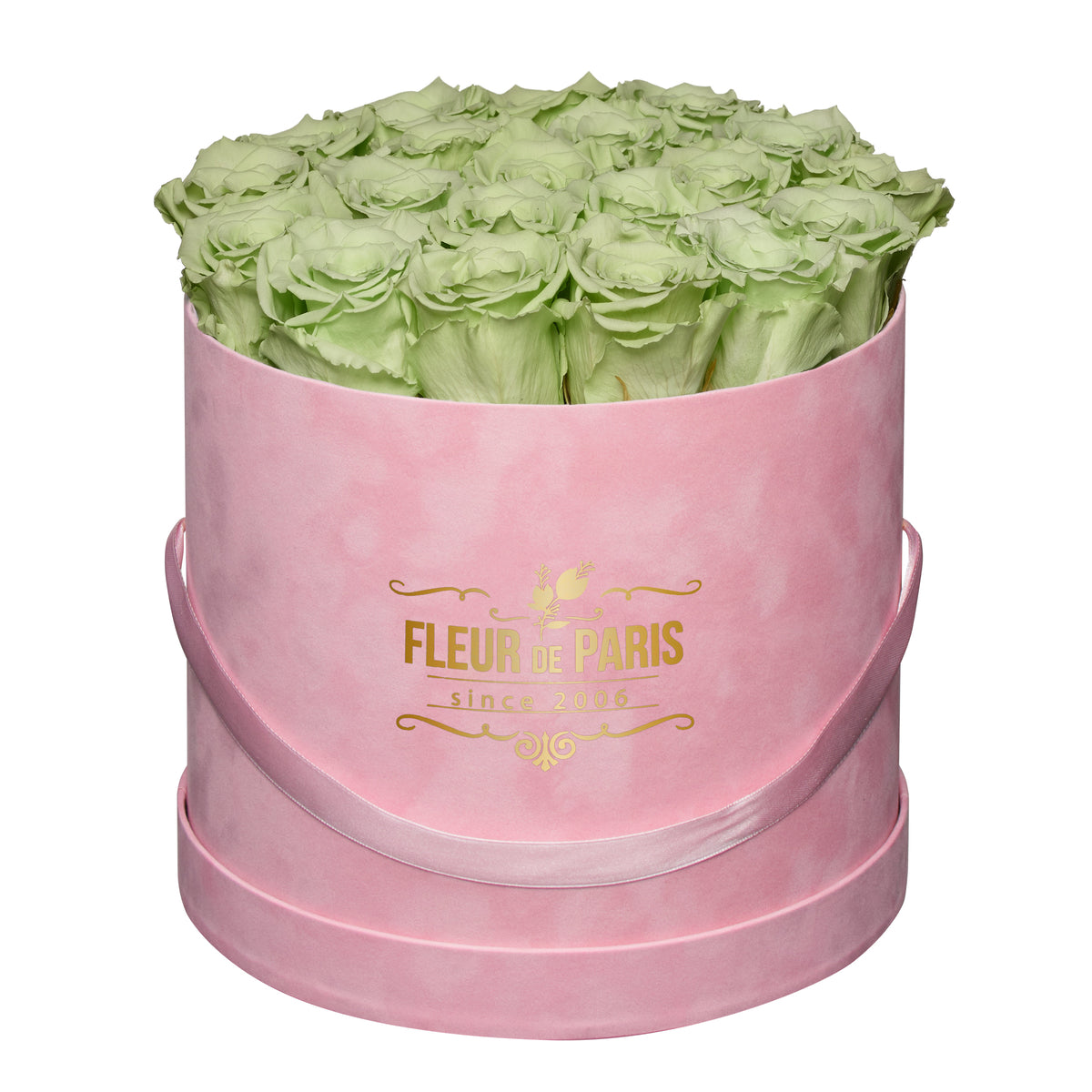 Caixa Premium de Veludo Rosa | Rosas Infinity Verde Agua