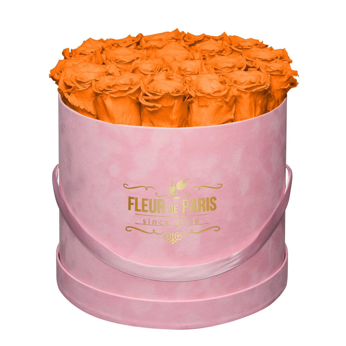 Caixa Premium de Veludo Rosa | Rosas Infinity Laranja