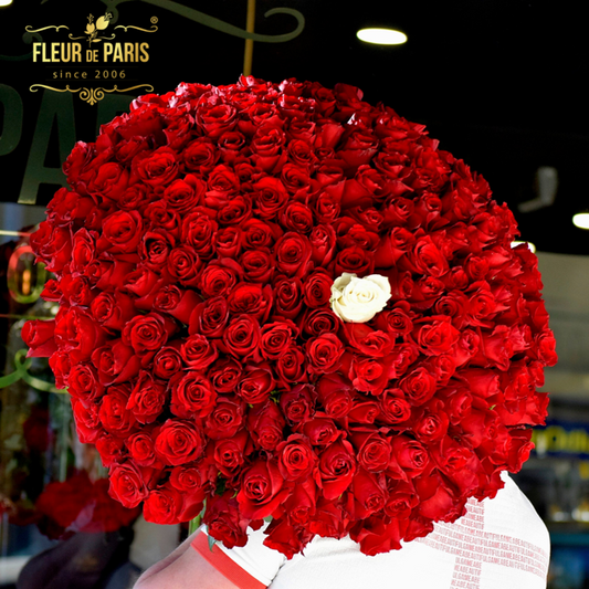 Luxo Amazing Surprise- Bouquet Rosas Frescas Mistas