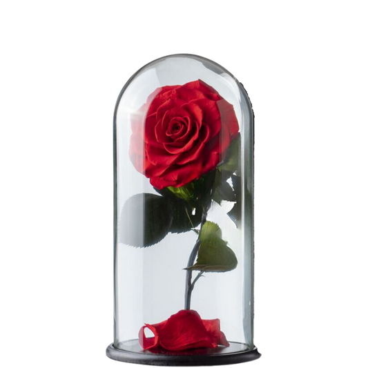 The Bella Rose - Aurora by Fleur de Paris®